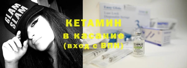 шишки Абаза