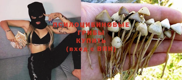 apvp Алексеевка
