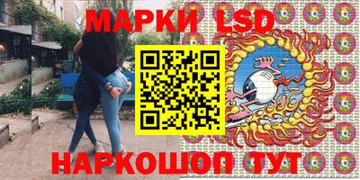 прущие грибы Славгород