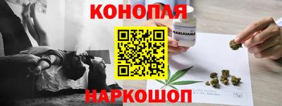 прущие грибы Славгород