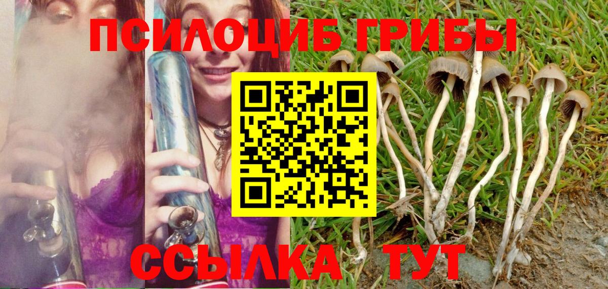 Черемхово  Псилоцибиновые грибы Cubensis  Вход с VPN 