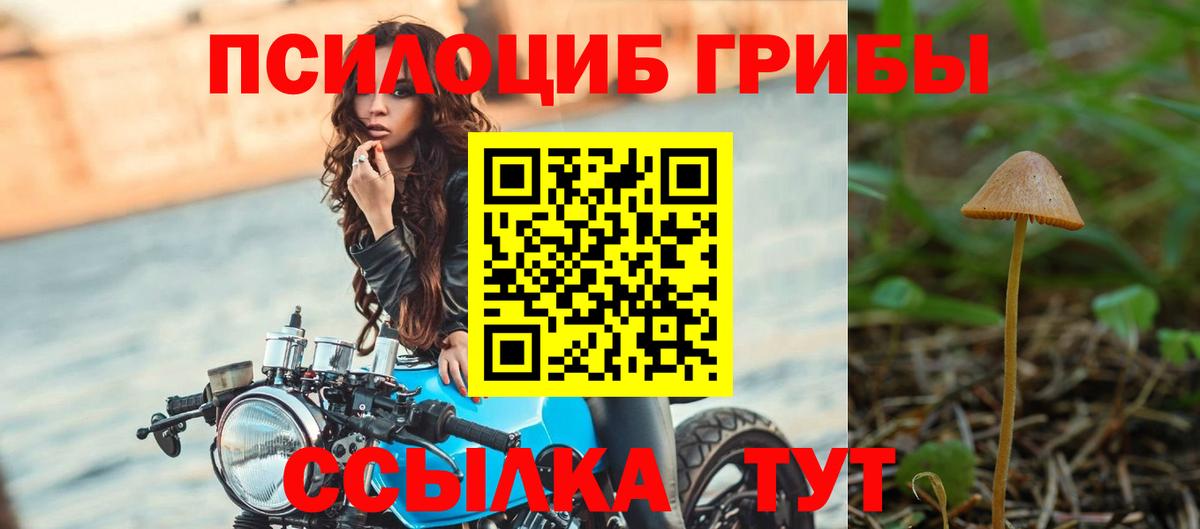 Псилоцибиновые грибы ЛСД Черемхово
